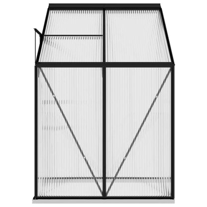 Greenhouse Anthracite Aluminum 95.3 ft³